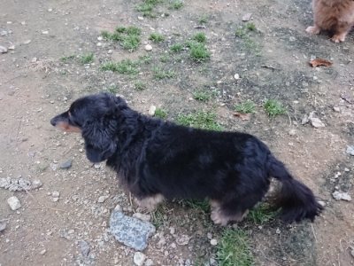f:id:roukenhome-ann:20181130093552j:plain f:id:roukenhome-ann:20181130093552j:plain