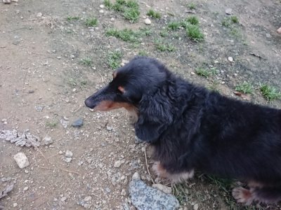 f:id:roukenhome-ann:20181130093556j:plain f:id:roukenhome-ann:20181130093556j:plain