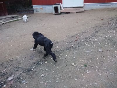f:id:roukenhome-ann:20181130093613j:plain f:id:roukenhome-ann:20181130093613j:plain