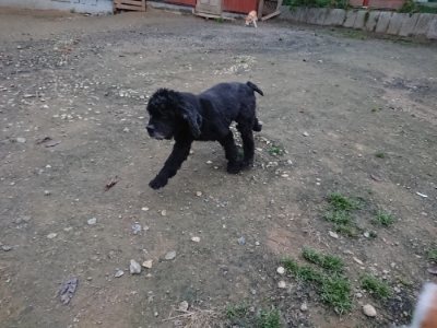 f:id:roukenhome-ann:20181130093821j:plain f:id:roukenhome-ann:20181130093821j:plain
