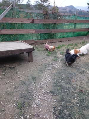 f:id:roukenhome-ann:20181130093842j:plain f:id:roukenhome-ann:20181130093842j:plain