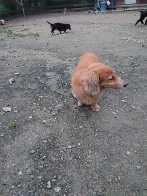 f:id:roukenhome-ann:20181130093902j:plain f:id:roukenhome-ann:20181130093902j:plain