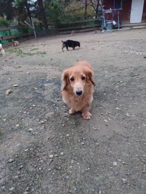 f:id:roukenhome-ann:20181130093909j:plain f:id:roukenhome-ann:20181130093909j:plain
