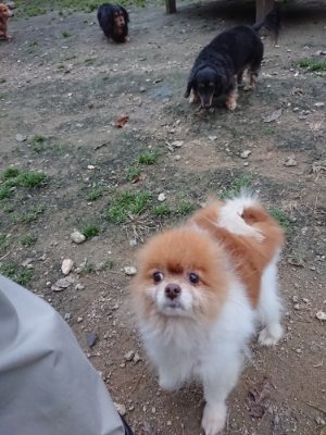 f:id:roukenhome-ann:20181130094020j:plain f:id:roukenhome-ann:20181130094020j:plain