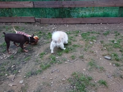 f:id:roukenhome-ann:20181130094027j:plain f:id:roukenhome-ann:20181130094027j:plain