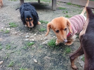 f:id:roukenhome-ann:20181130094032j:plain f:id:roukenhome-ann:20181130094032j:plain