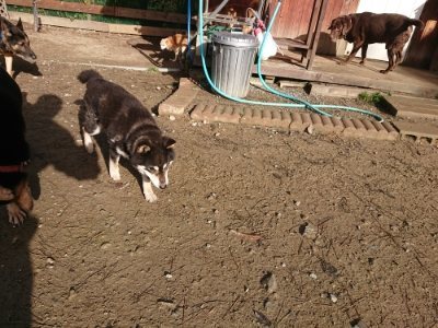 f:id:roukenhome-ann:20181130094045j:plain f:id:roukenhome-ann:20181130094045j:plain
