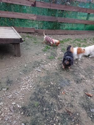 f:id:roukenhome-ann:20181130094119j:plain f:id:roukenhome-ann:20181130094119j:plain