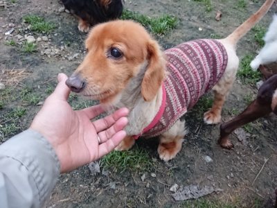 f:id:roukenhome-ann:20181130094150j:plain f:id:roukenhome-ann:20181130094150j:plain