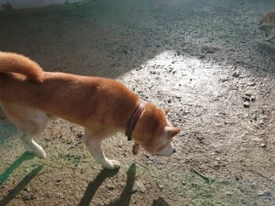 f:id:roukenhome-ann:20181130094155j:plain f:id:roukenhome-ann:20181130094155j:plain