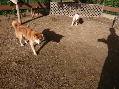 f:id:roukenhome-ann:20181130094218j:plain f:id:roukenhome-ann:20181130094218j:plain
