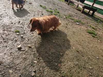 f:id:roukenhome-ann:20181130112448j:plain f:id:roukenhome-ann:20181130112448j:plain