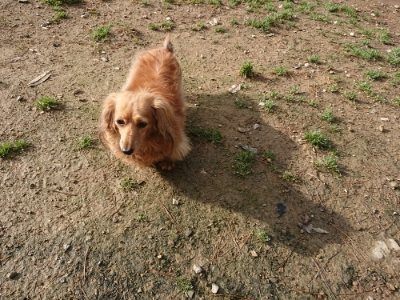 f:id:roukenhome-ann:20181130112543j:plain f:id:roukenhome-ann:20181130112543j:plain