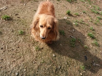 f:id:roukenhome-ann:20181130112606j:plain f:id:roukenhome-ann:20181130112606j:plain