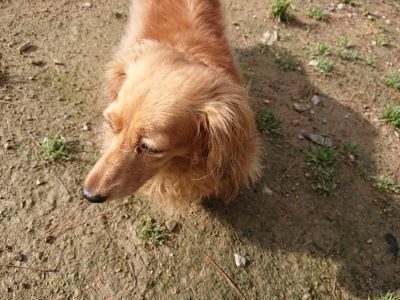 f:id:roukenhome-ann:20181130112613j:plain f:id:roukenhome-ann:20181130112613j:plain