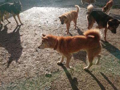 f:id:roukenhome-ann:20181130112703j:plain f:id:roukenhome-ann:20181130112703j:plain