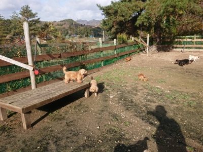 f:id:roukenhome-ann:20181130113723j:plain f:id:roukenhome-ann:20181130113723j:plain