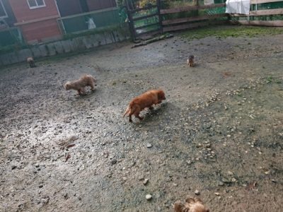 f:id:roukenhome-ann:20181130113746j:plain f:id:roukenhome-ann:20181130113746j:plain