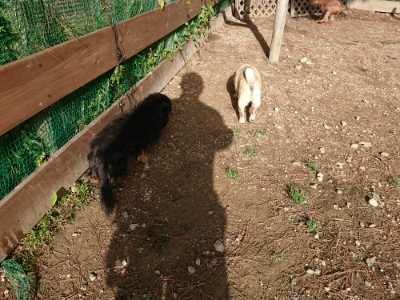 f:id:roukenhome-ann:20181130113751j:plain f:id:roukenhome-ann:20181130113751j:plain