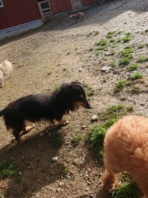 f:id:roukenhome-ann:20181130113838j:plain f:id:roukenhome-ann:20181130113838j:plain