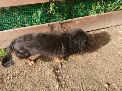 f:id:roukenhome-ann:20181130113909j:plain f:id:roukenhome-ann:20181130113909j:plain