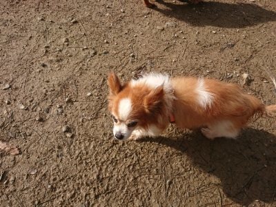 f:id:roukenhome-ann:20181130113931j:plain f:id:roukenhome-ann:20181130113931j:plain