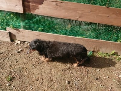f:id:roukenhome-ann:20181130113936j:plain f:id:roukenhome-ann:20181130113936j:plain