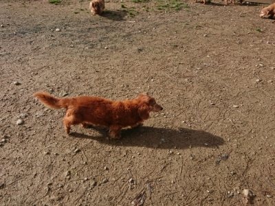f:id:roukenhome-ann:20181130114054j:plain f:id:roukenhome-ann:20181130114054j:plain