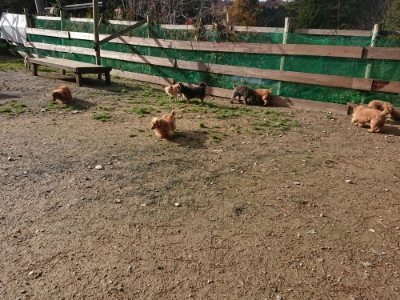 f:id:roukenhome-ann:20181130114100j:plain f:id:roukenhome-ann:20181130114100j:plain