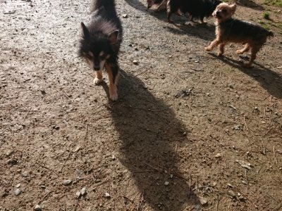 f:id:roukenhome-ann:20181130114228j:plain f:id:roukenhome-ann:20181130114228j:plain