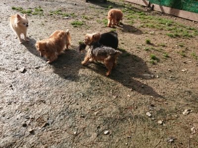 f:id:roukenhome-ann:20181130114233j:plain f:id:roukenhome-ann:20181130114233j:plain