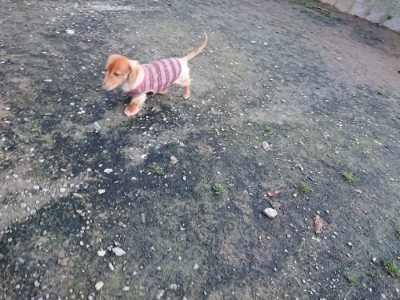 f:id:roukenhome-ann:20181201052625j:plain f:id:roukenhome-ann:20181201052625j:plain