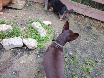 f:id:roukenhome-ann:20181201052840j:plain f:id:roukenhome-ann:20181201052840j:plain