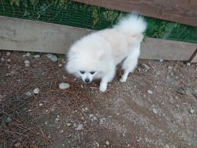f:id:roukenhome-ann:20181201052849j:plain f:id:roukenhome-ann:20181201052849j:plain