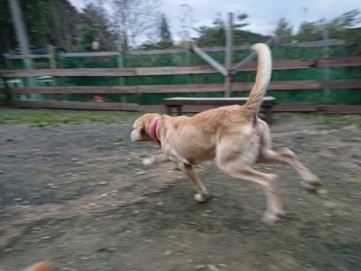 f:id:roukenhome-ann:20181201052932j:plain f:id:roukenhome-ann:20181201052932j:plain