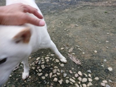 f:id:roukenhome-ann:20181201053004j:plain f:id:roukenhome-ann:20181201053004j:plain