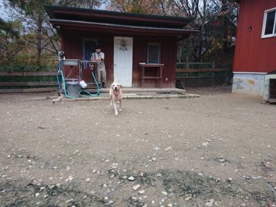 f:id:roukenhome-ann:20181201053009j:plain f:id:roukenhome-ann:20181201053009j:plain