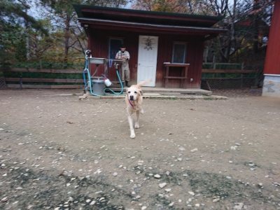 f:id:roukenhome-ann:20181201053013j:plain f:id:roukenhome-ann:20181201053013j:plain