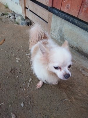f:id:roukenhome-ann:20181201053023j:plain f:id:roukenhome-ann:20181201053023j:plain