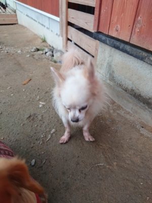 f:id:roukenhome-ann:20181201053027j:plain f:id:roukenhome-ann:20181201053027j:plain