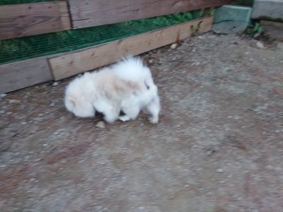 f:id:roukenhome-ann:20181201053308j:plain f:id:roukenhome-ann:20181201053308j:plain
