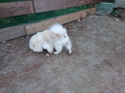 f:id:roukenhome-ann:20181201053313j:plain f:id:roukenhome-ann:20181201053313j:plain