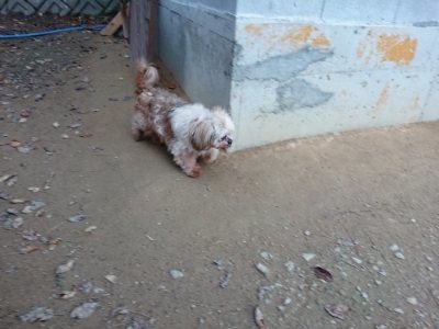 f:id:roukenhome-ann:20181201053317j:plain f:id:roukenhome-ann:20181201053317j:plain