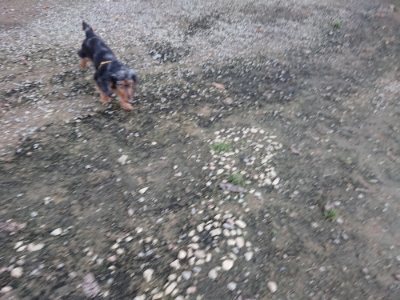 f:id:roukenhome-ann:20181201053410j:plain f:id:roukenhome-ann:20181201053410j:plain