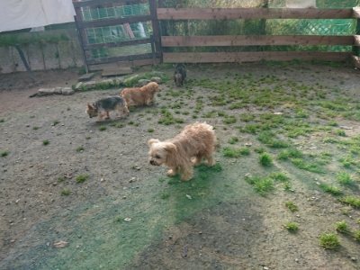 f:id:roukenhome-ann:20181201072311j:plain f:id:roukenhome-ann:20181201072311j:plain