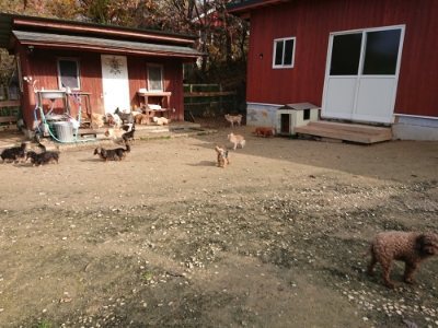 f:id:roukenhome-ann:20181201072316j:plain f:id:roukenhome-ann:20181201072316j:plain