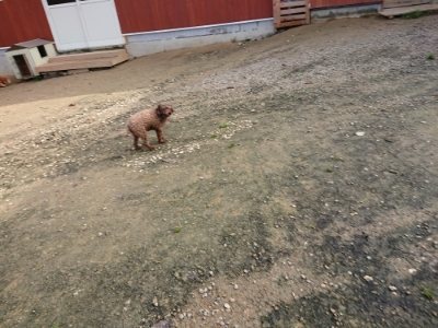 f:id:roukenhome-ann:20181201072349j:plain f:id:roukenhome-ann:20181201072349j:plain