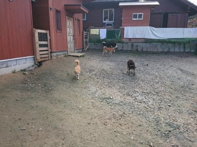 f:id:roukenhome-ann:20181201072419j:plain f:id:roukenhome-ann:20181201072419j:plain