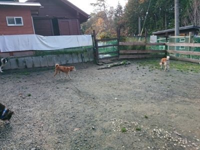 f:id:roukenhome-ann:20181201072425j:plain f:id:roukenhome-ann:20181201072425j:plain