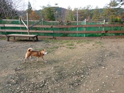 f:id:roukenhome-ann:20181201072458j:plain f:id:roukenhome-ann:20181201072458j:plain